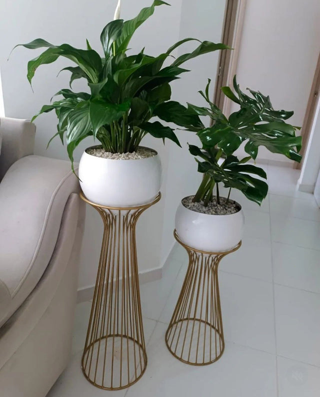 Set turmalina dorado con materos en aluminio blancos