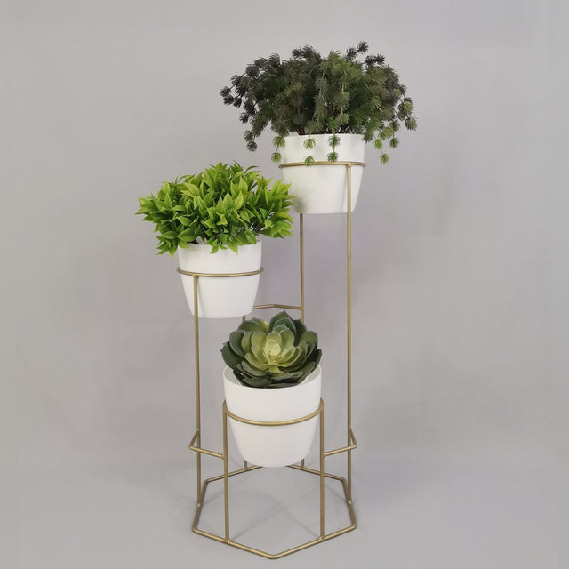 Set padreperla dorado con materos plasticos blancos